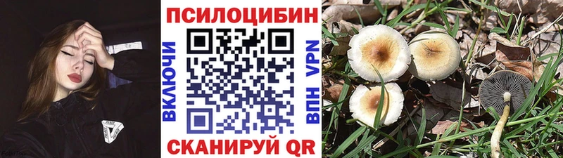 Псилоцибиновые грибы мухоморы  Северск 