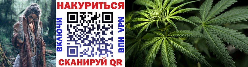 KRAKEN   Северск  Бошки Шишки план 